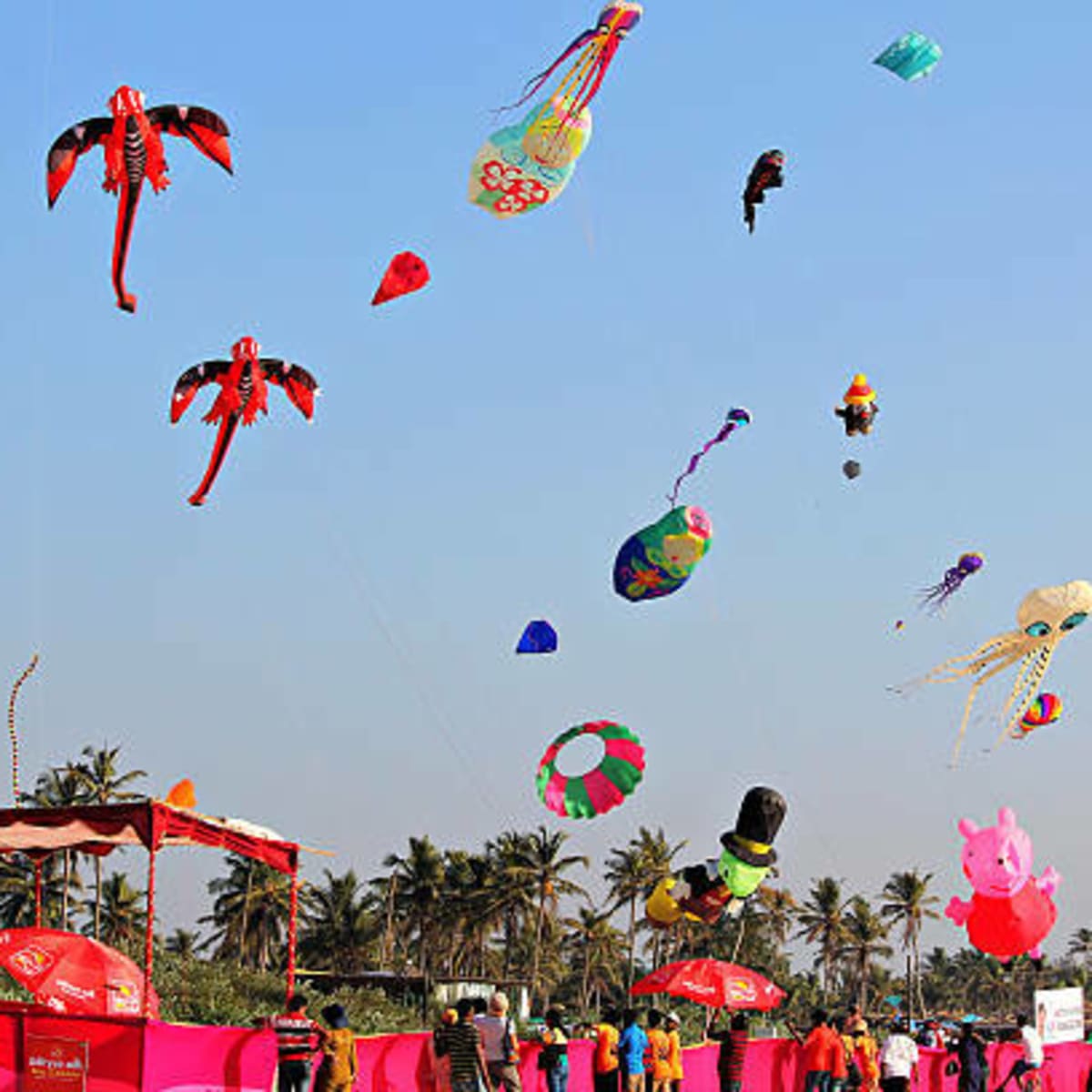 Makar Sankranti Kite Festival